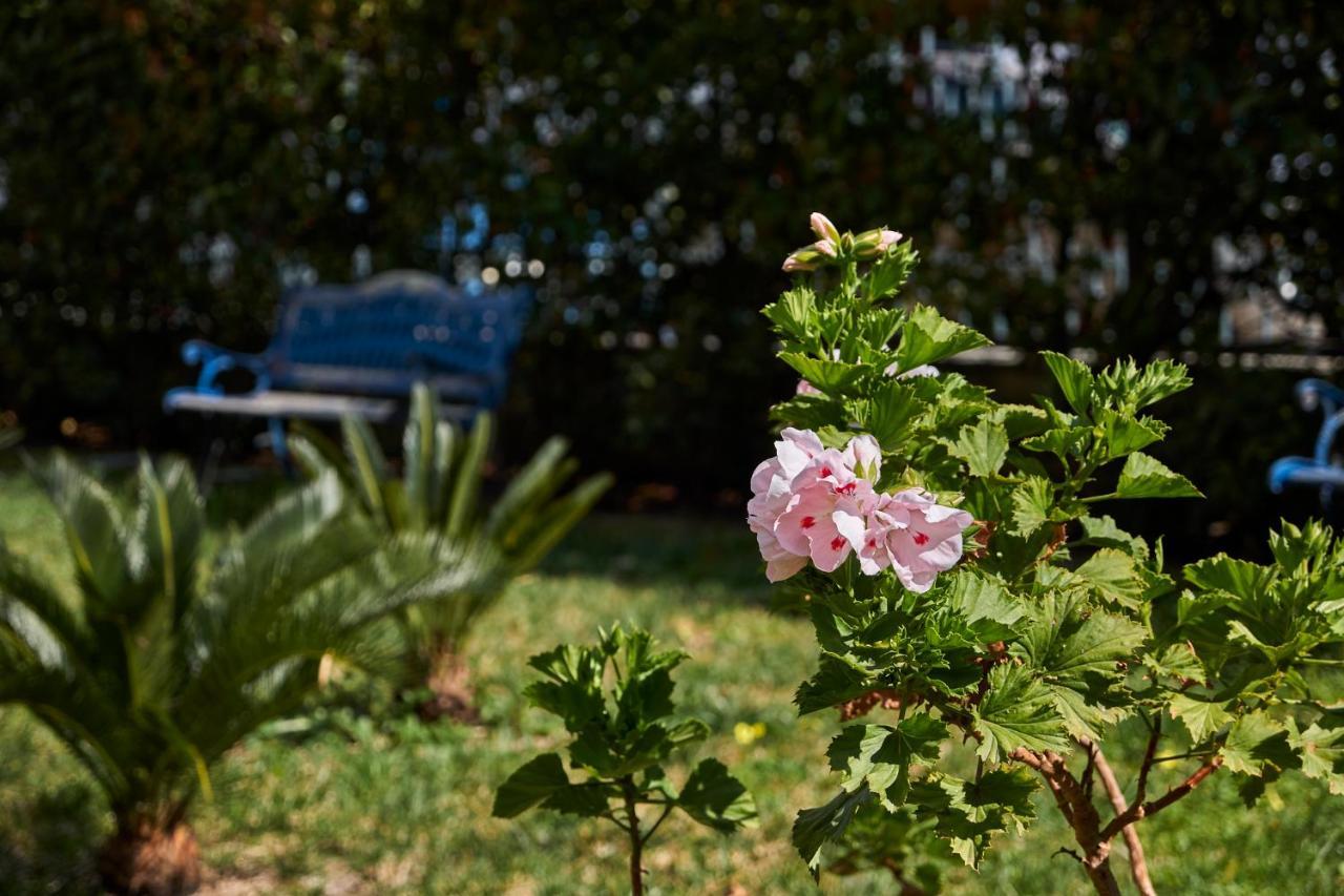 מלון לצ'ה Il Giardino Di Flora Con Piscina מראה חיצוני תמונה