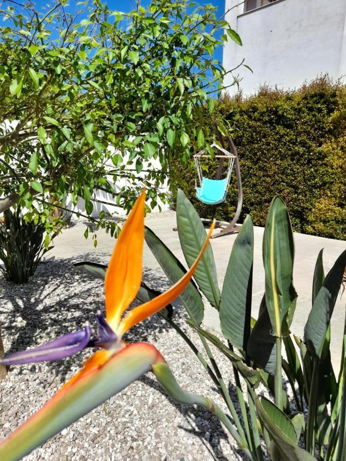 מלון לצ'ה Il Giardino Di Flora Con Piscina מראה חיצוני תמונה
